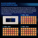 Turbowuchs Turbo2000 240W Samsung LM301H EVO Full Spectrum LED Grow Light - Image 3