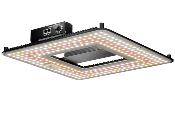 tb1000 light